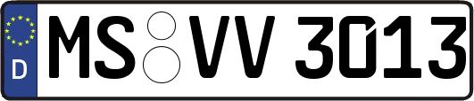 MS-VV3013