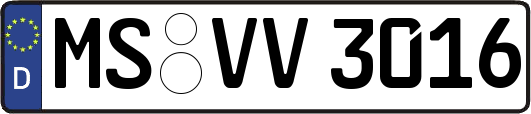 MS-VV3016