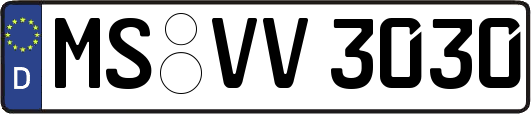MS-VV3030