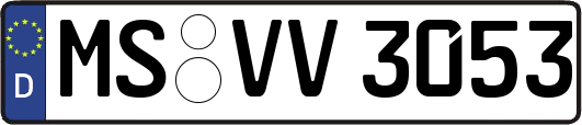 MS-VV3053