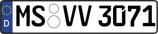 MS-VV3071