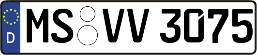 MS-VV3075