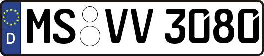 MS-VV3080