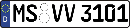 MS-VV3101