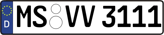 MS-VV3111