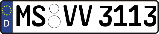MS-VV3113