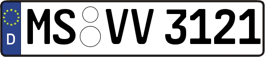MS-VV3121