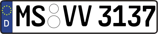 MS-VV3137