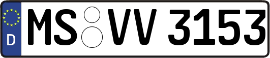 MS-VV3153
