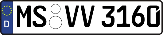 MS-VV3160