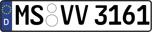 MS-VV3161