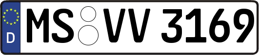 MS-VV3169