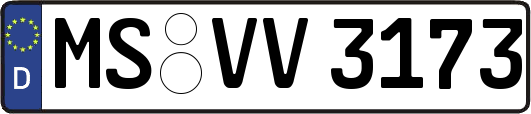 MS-VV3173