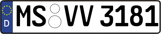MS-VV3181