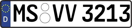 MS-VV3213