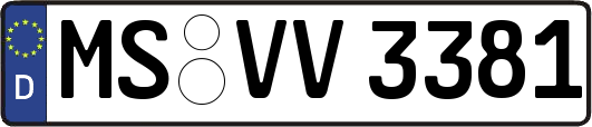 MS-VV3381