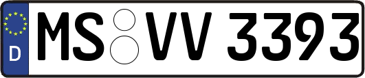 MS-VV3393