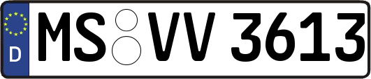 MS-VV3613