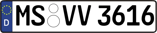 MS-VV3616