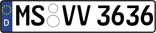 MS-VV3636