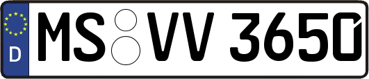 MS-VV3650
