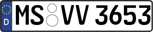 MS-VV3653