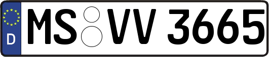 MS-VV3665