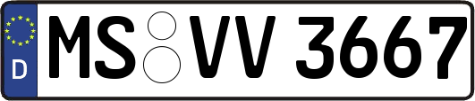 MS-VV3667