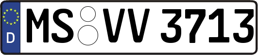 MS-VV3713