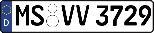 MS-VV3729
