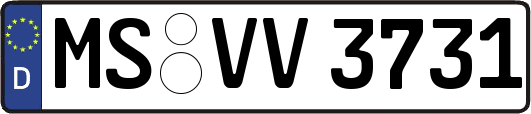 MS-VV3731
