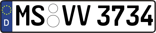 MS-VV3734