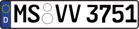 MS-VV3751