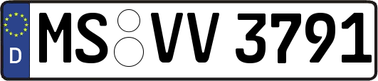 MS-VV3791