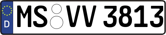 MS-VV3813
