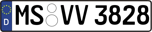 MS-VV3828