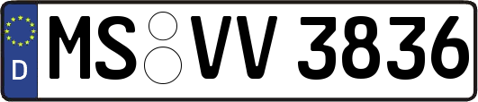 MS-VV3836