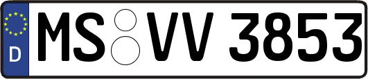 MS-VV3853