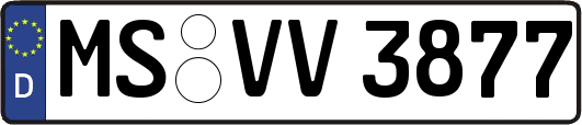 MS-VV3877