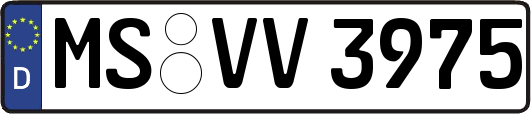 MS-VV3975