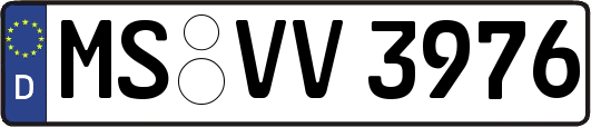 MS-VV3976