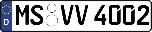 MS-VV4002