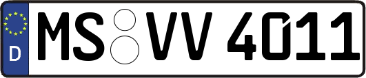 MS-VV4011