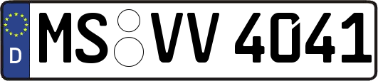 MS-VV4041