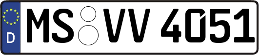 MS-VV4051