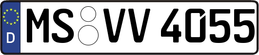 MS-VV4055