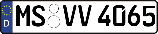 MS-VV4065
