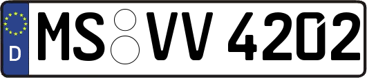 MS-VV4202