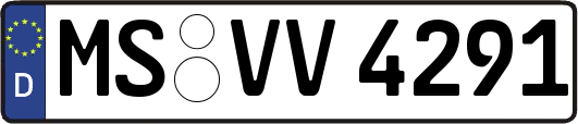 MS-VV4291