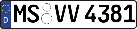 MS-VV4381